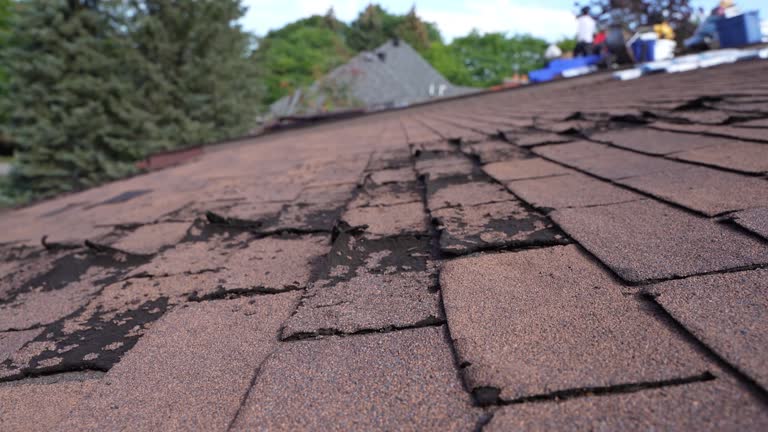 Best Sheet Metal Roofing  in Lake Delta, NY